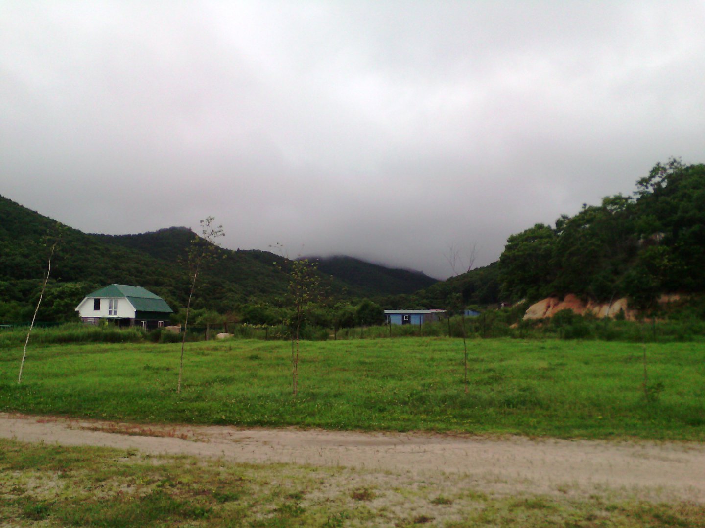 IMG_20160725_200950.jpg