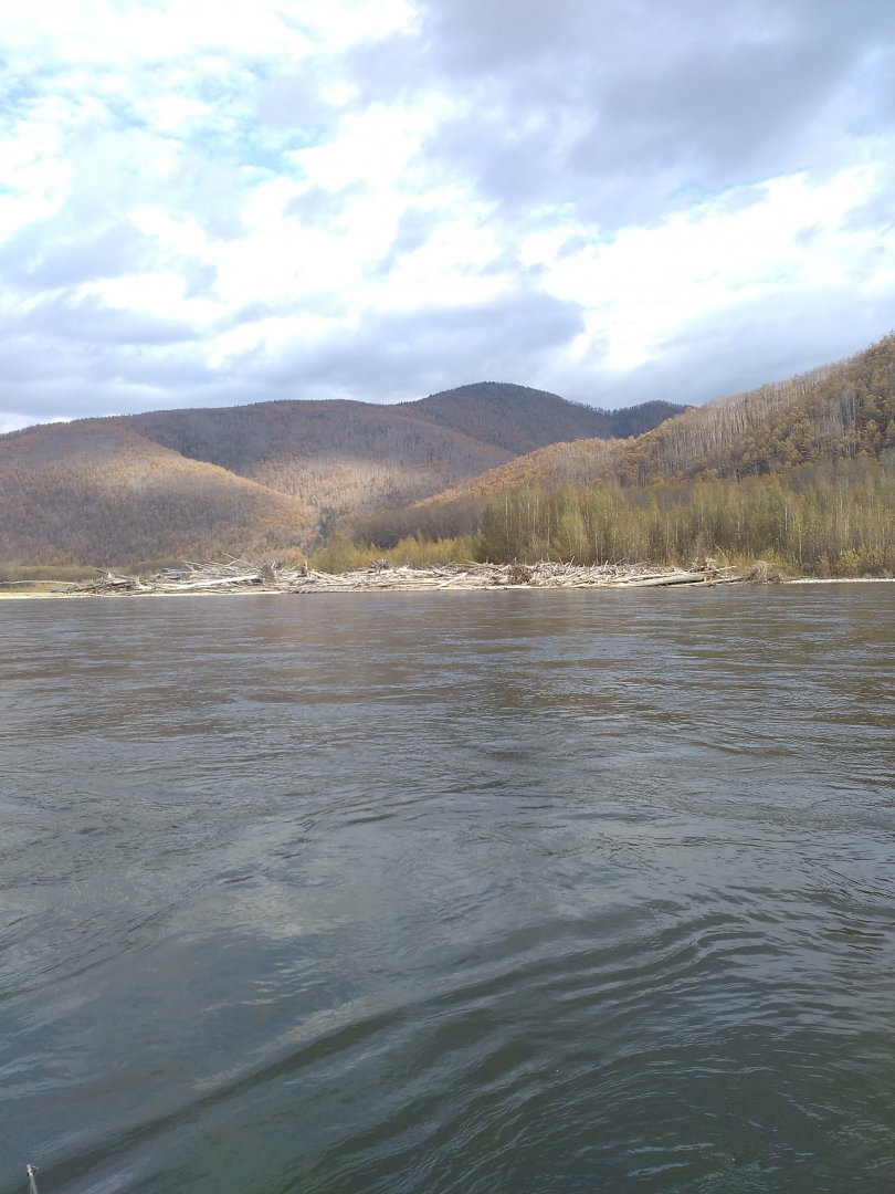 IMG_20161004_155635.jpg