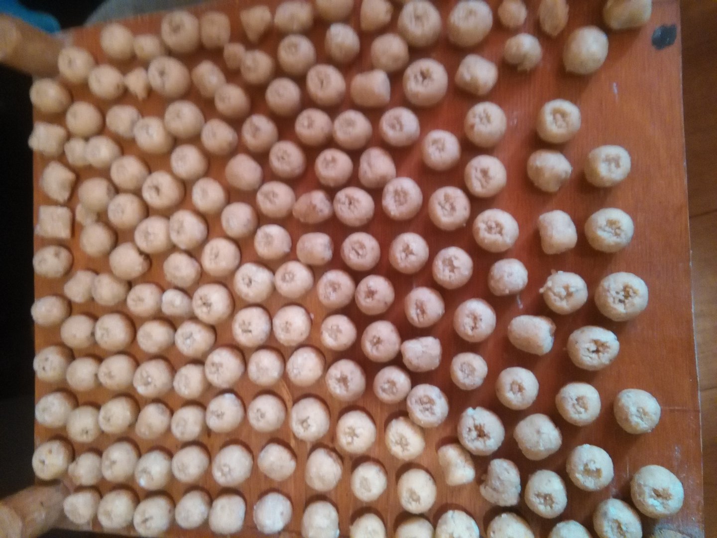 IMG_20170131_161951.jpg