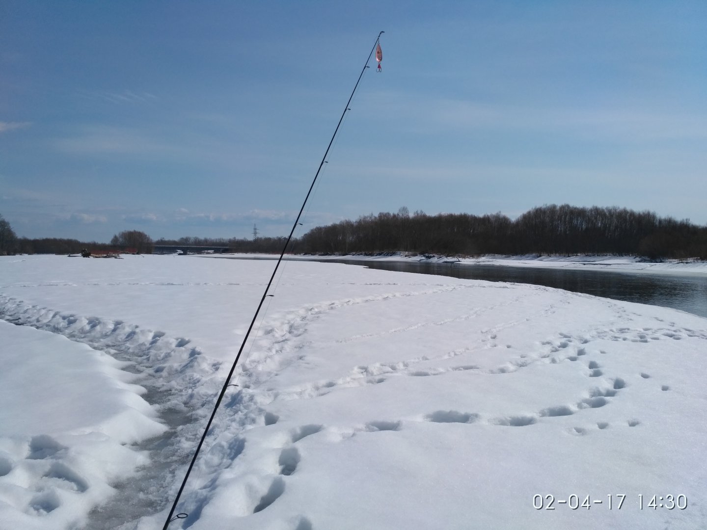 IMG_20170402_143039.jpg