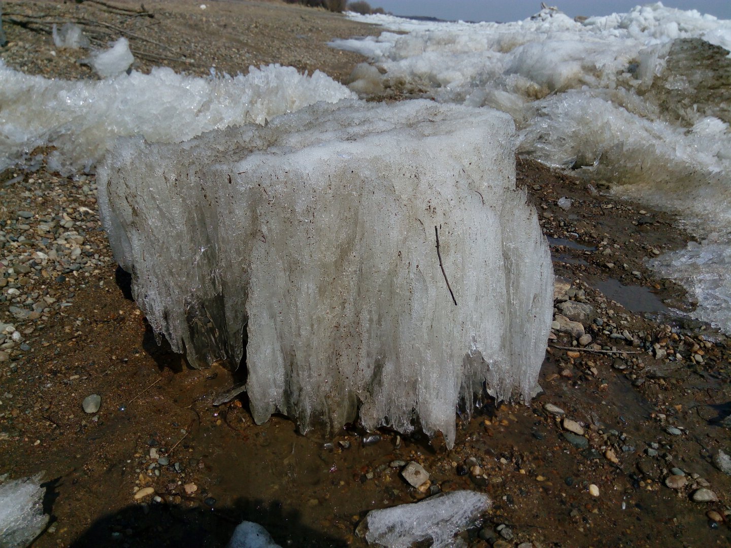 IMG_20170415_143152.jpg