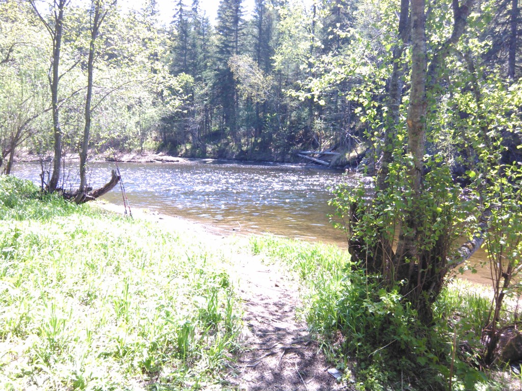 IMG_20170526_132110.jpg