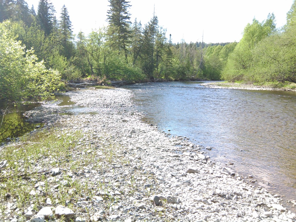 IMG_20170526_164052.jpg