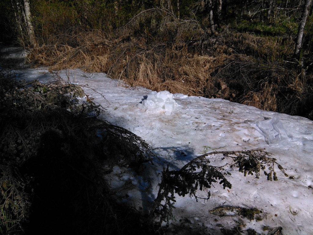 IMG_20170527_073713.jpg