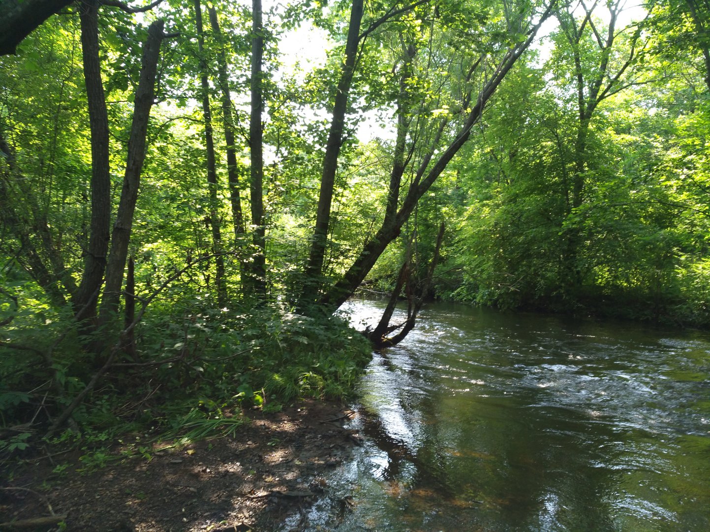 IMG_20170705_110045.jpg