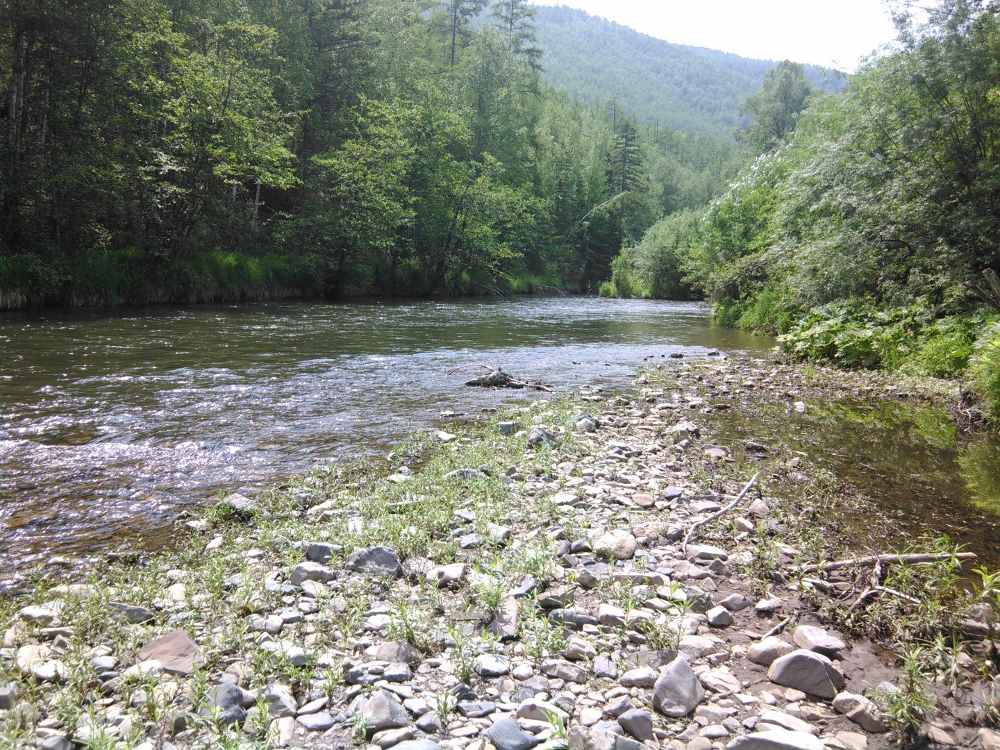 IMG_20170708_121522.jpg