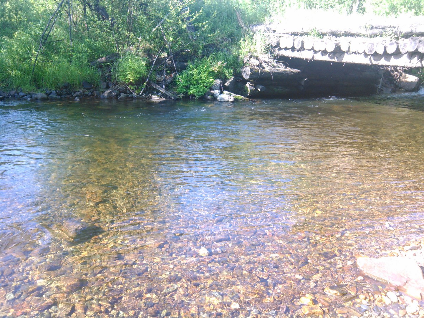IMG_20170712_082442.jpg