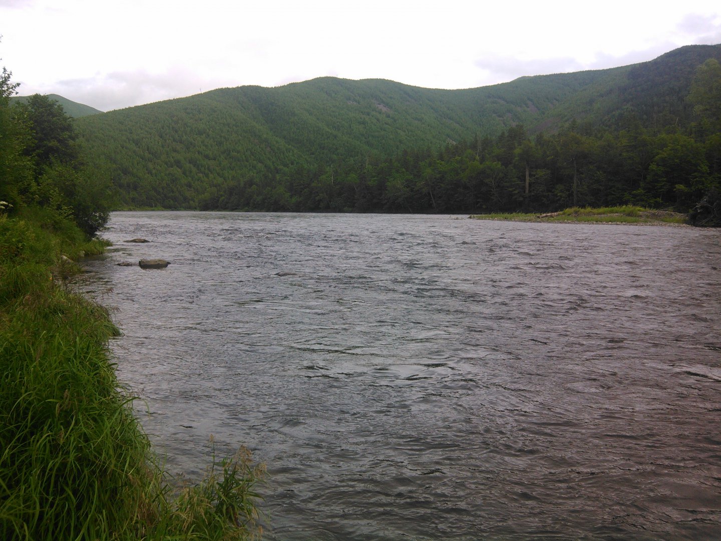 IMG_20170716_161757.jpg