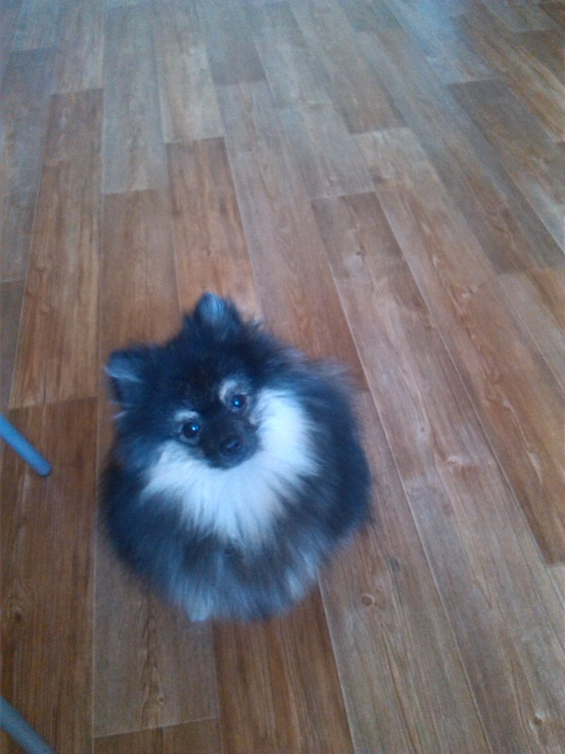 IMG_20170819_110444.jpg IMG_20170819_110444.jpg