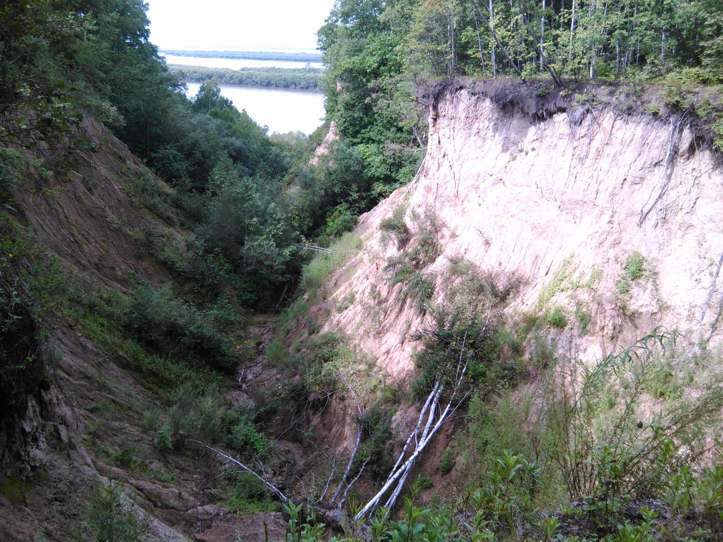 IMG_20170820_111712.jpg