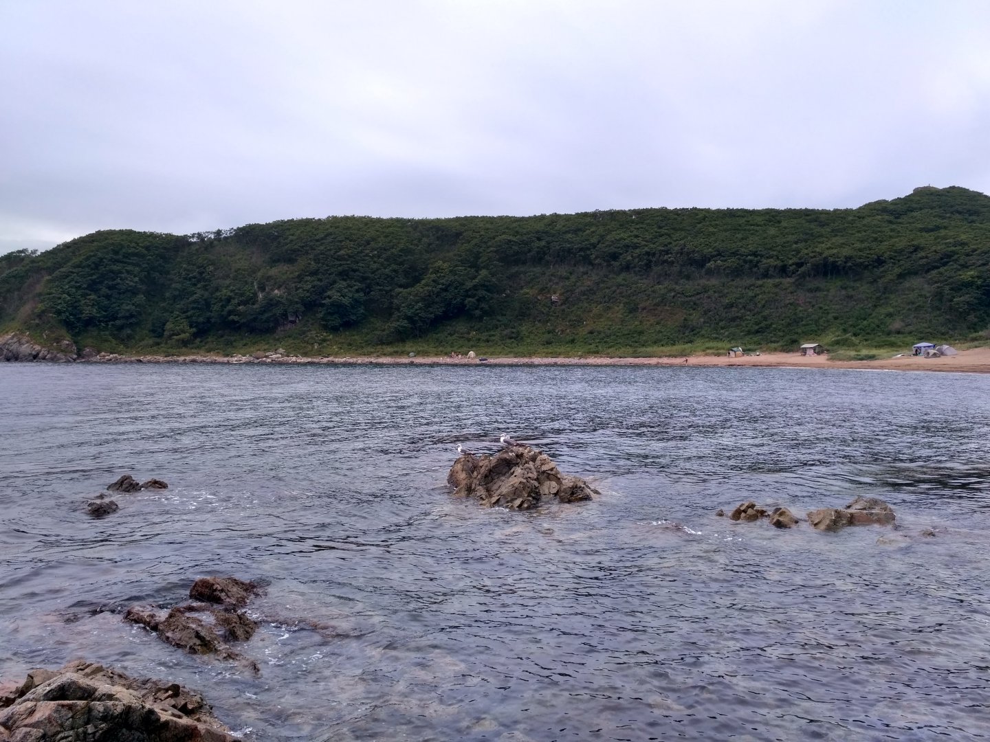 IMG_20170821_142736_HDR.jpg