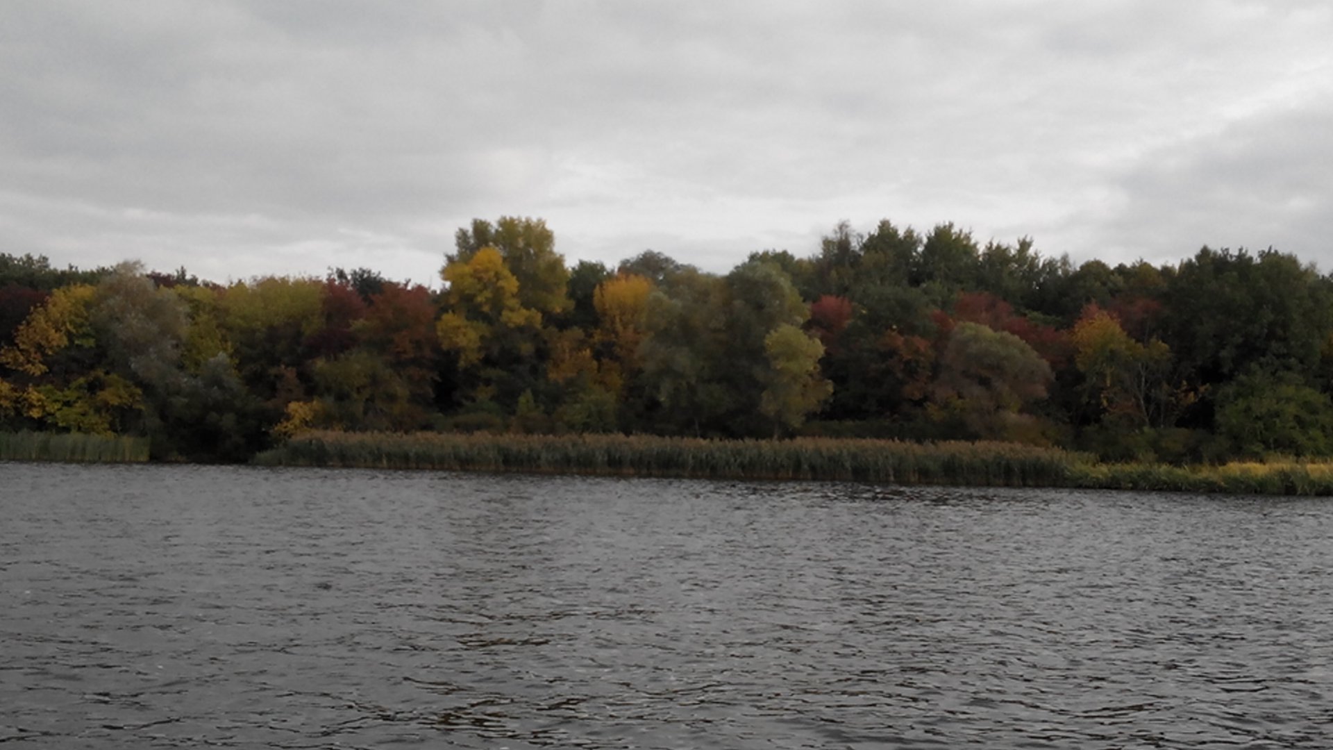 IMG_20171007_161446.jpg