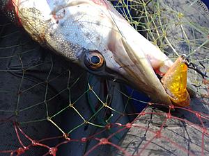 IMG_20171014_124605.jpg