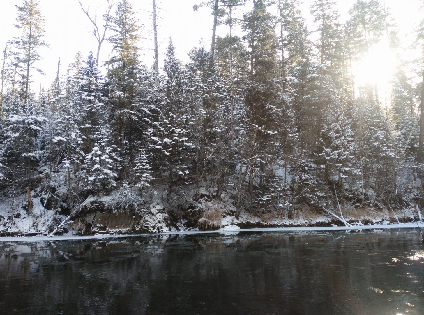 IMG_20171105_104504[1].jpg