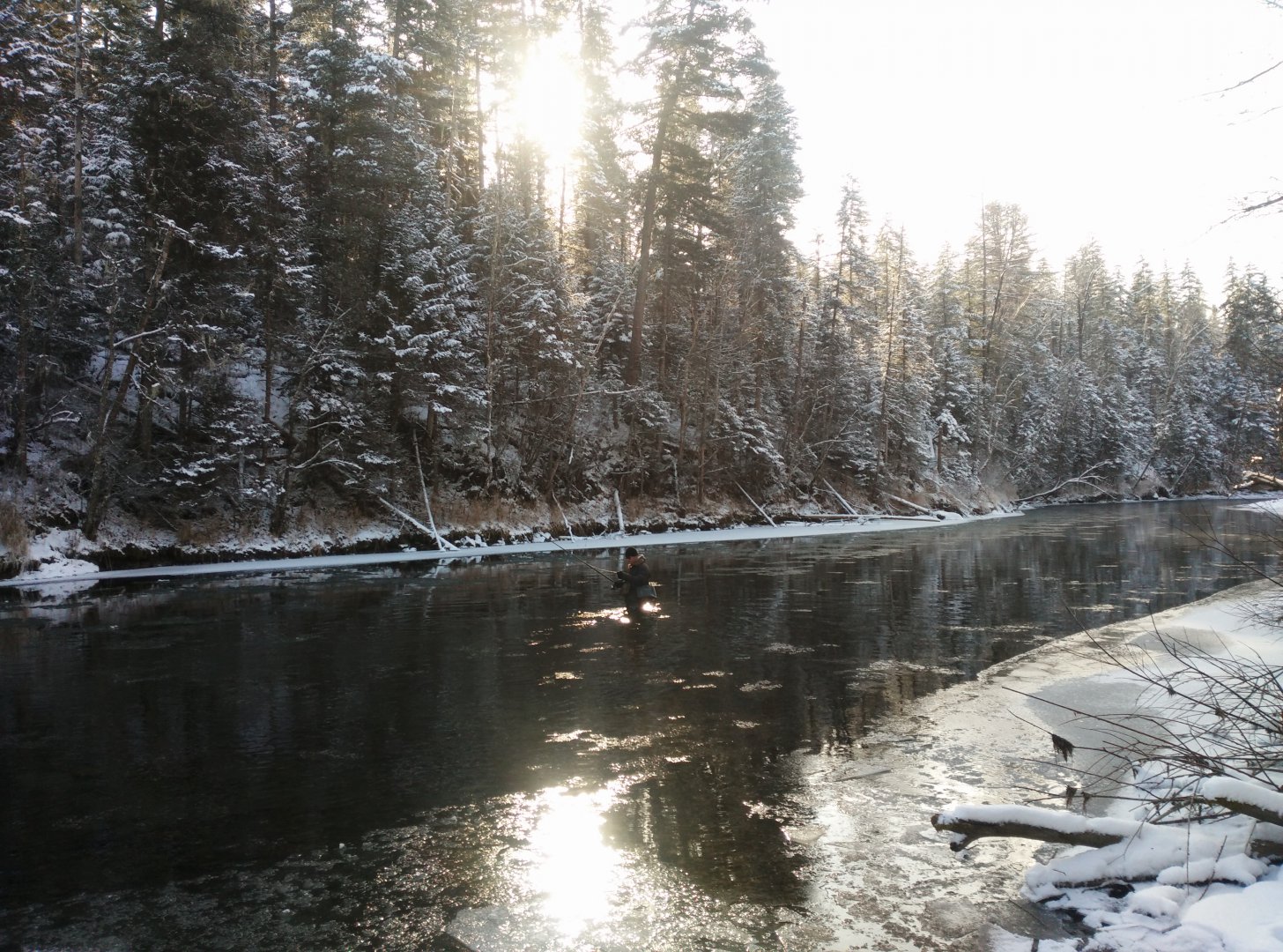 IMG_20171105_104509[1].jpg