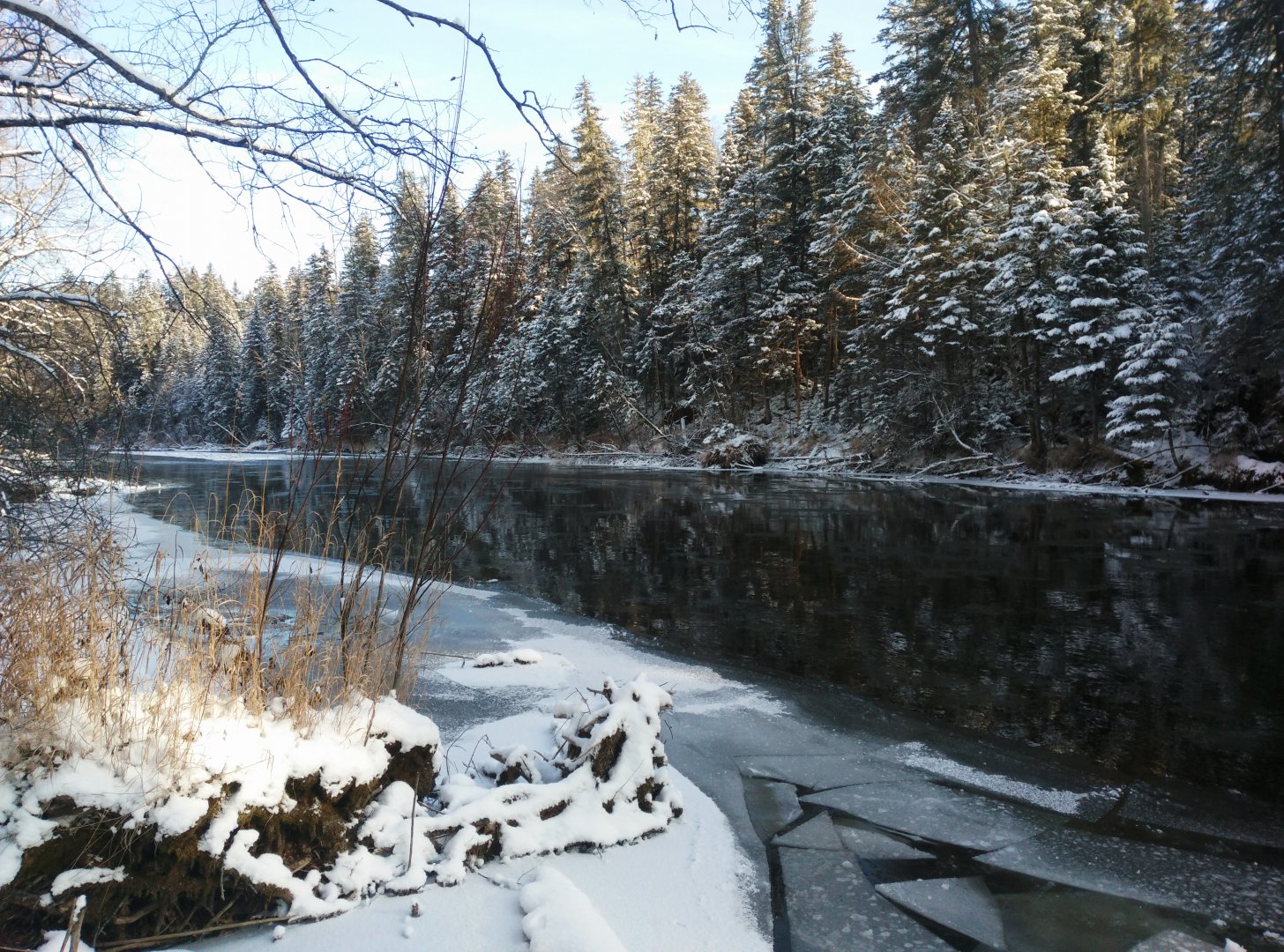 IMG_20171105_104515[1].jpg