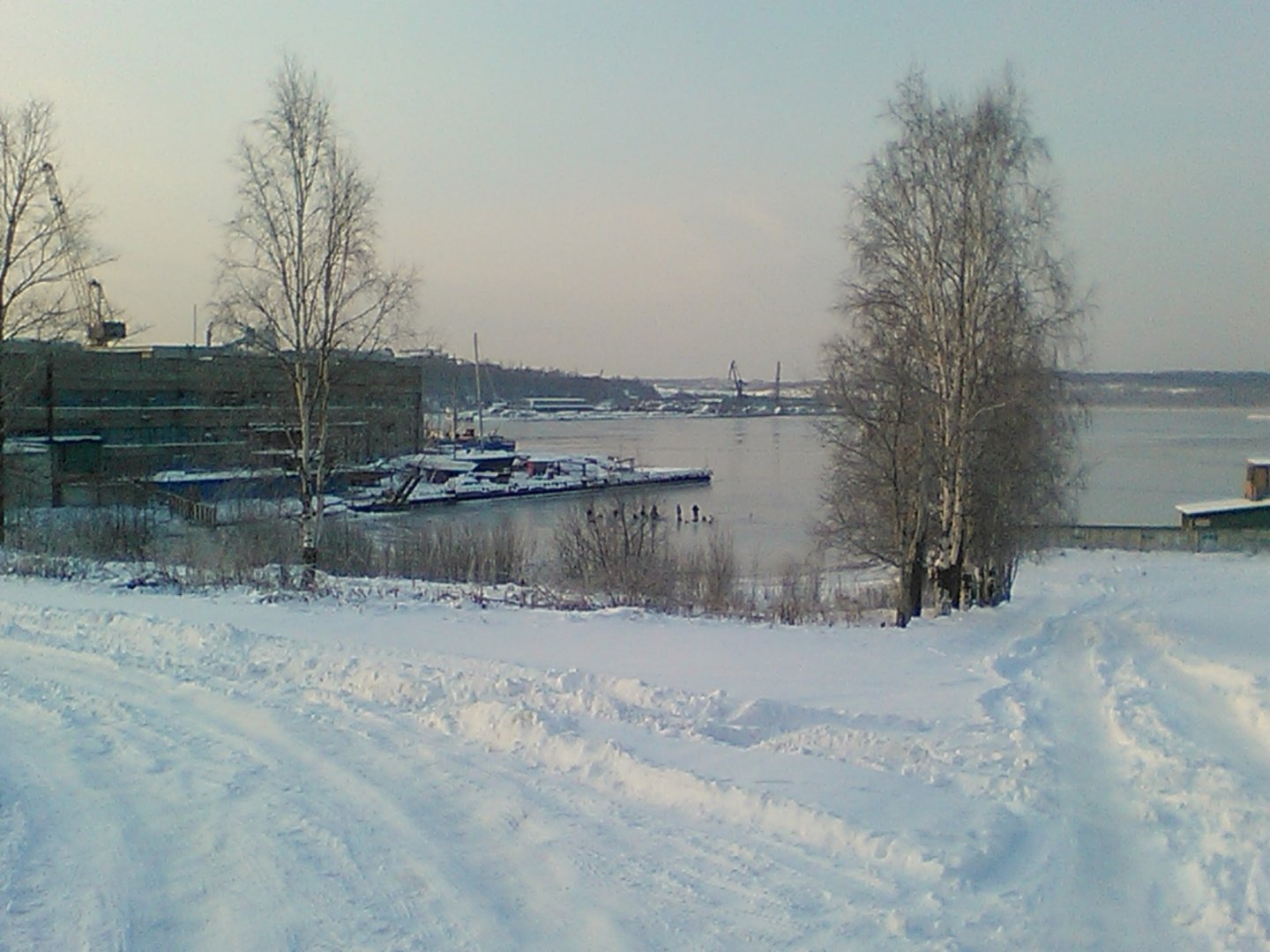 IMG_20171123_092019.jpg