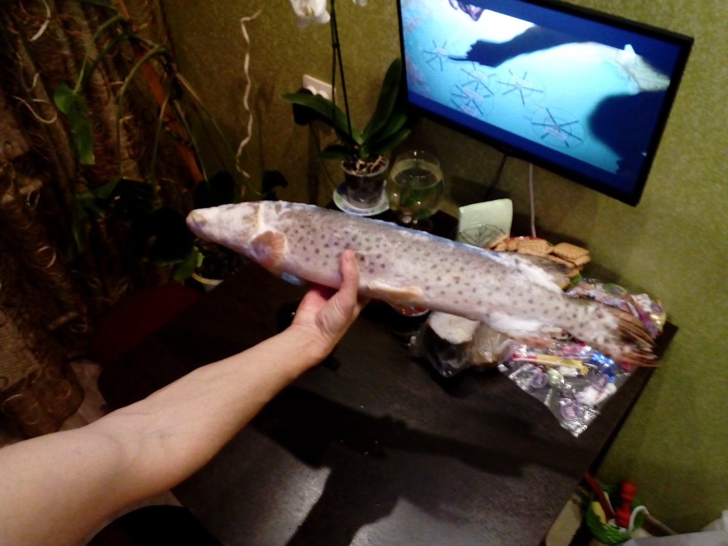 IMG_20171216_220842.jpg