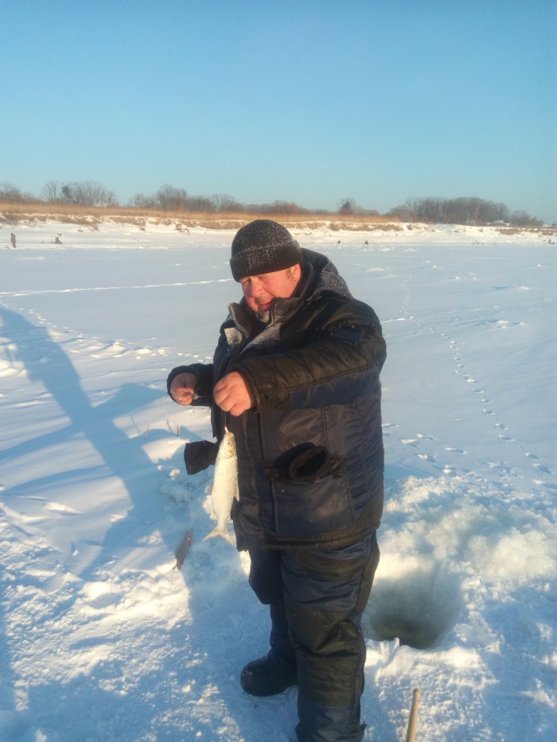 IMG_20180114_095025.jpg