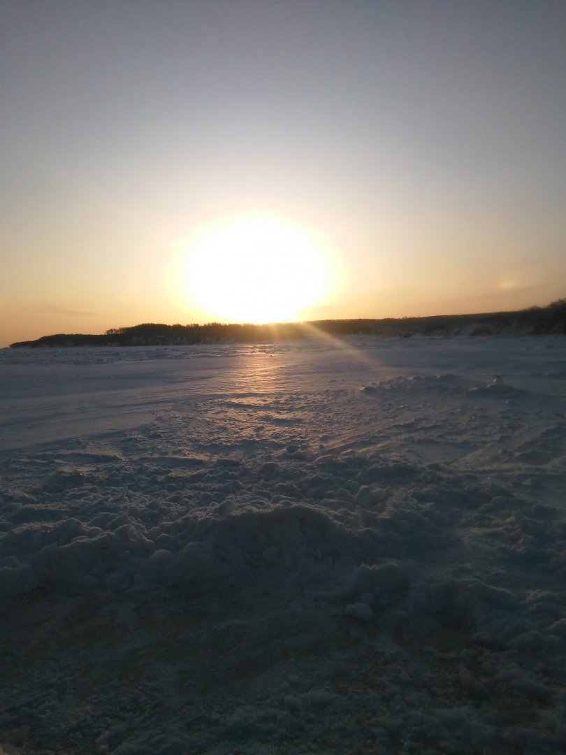 IMG_20180214_083106.jpg