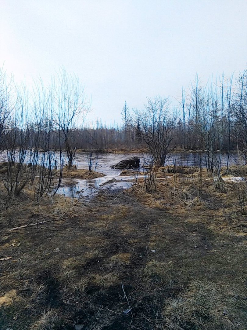 IMG_20180429_074124.jpg