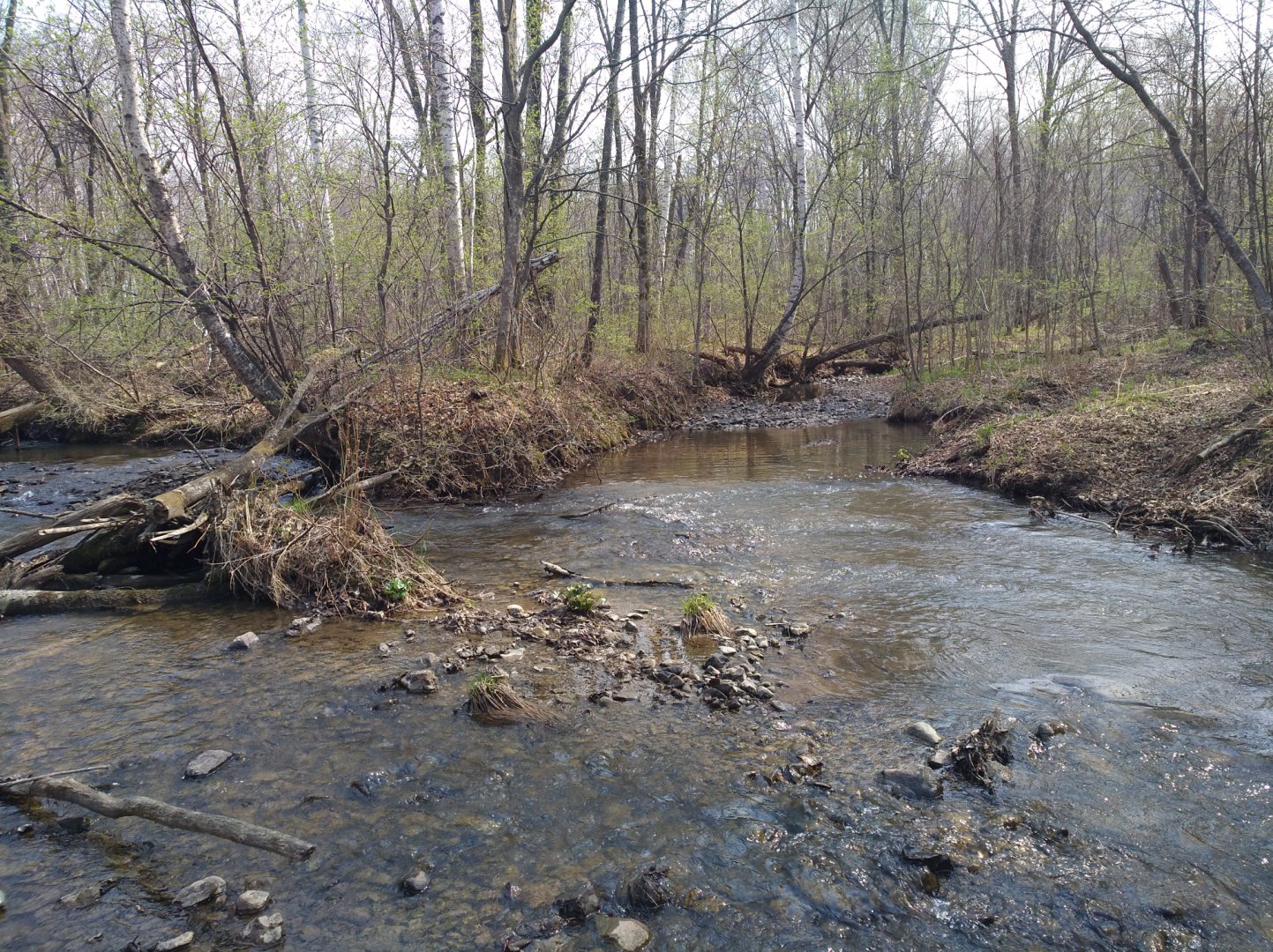 IMG_20180502_151132.jpg