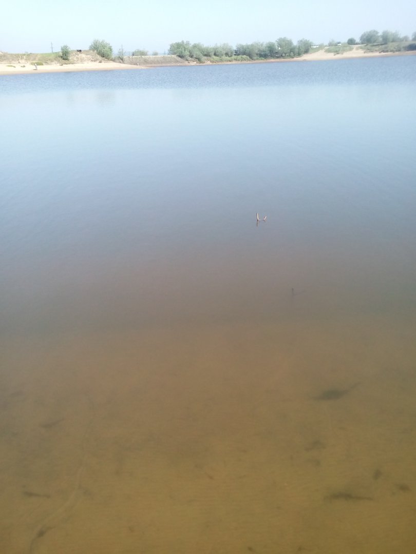 IMG_20180524_160110.jpg