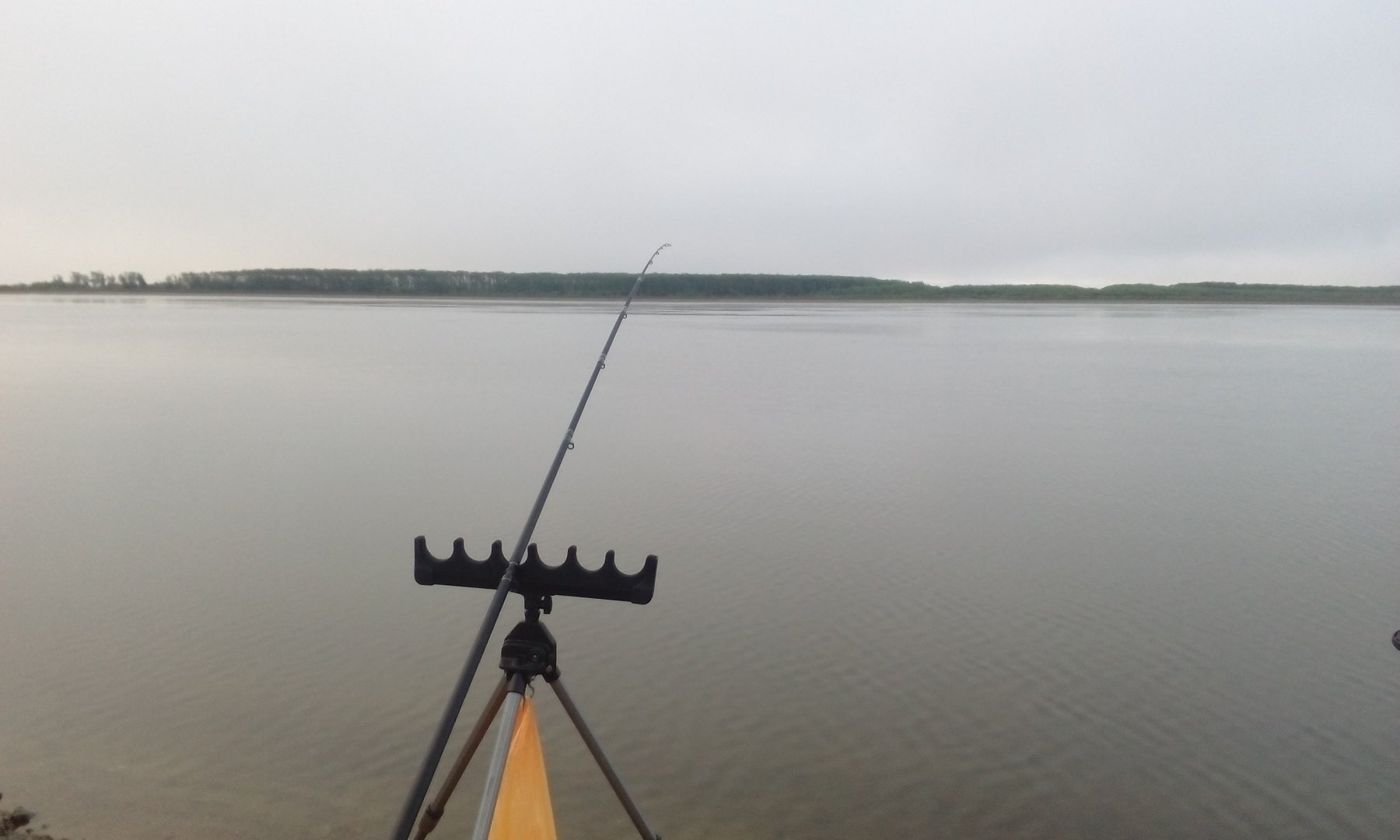 IMG_20180527_054706.jpg