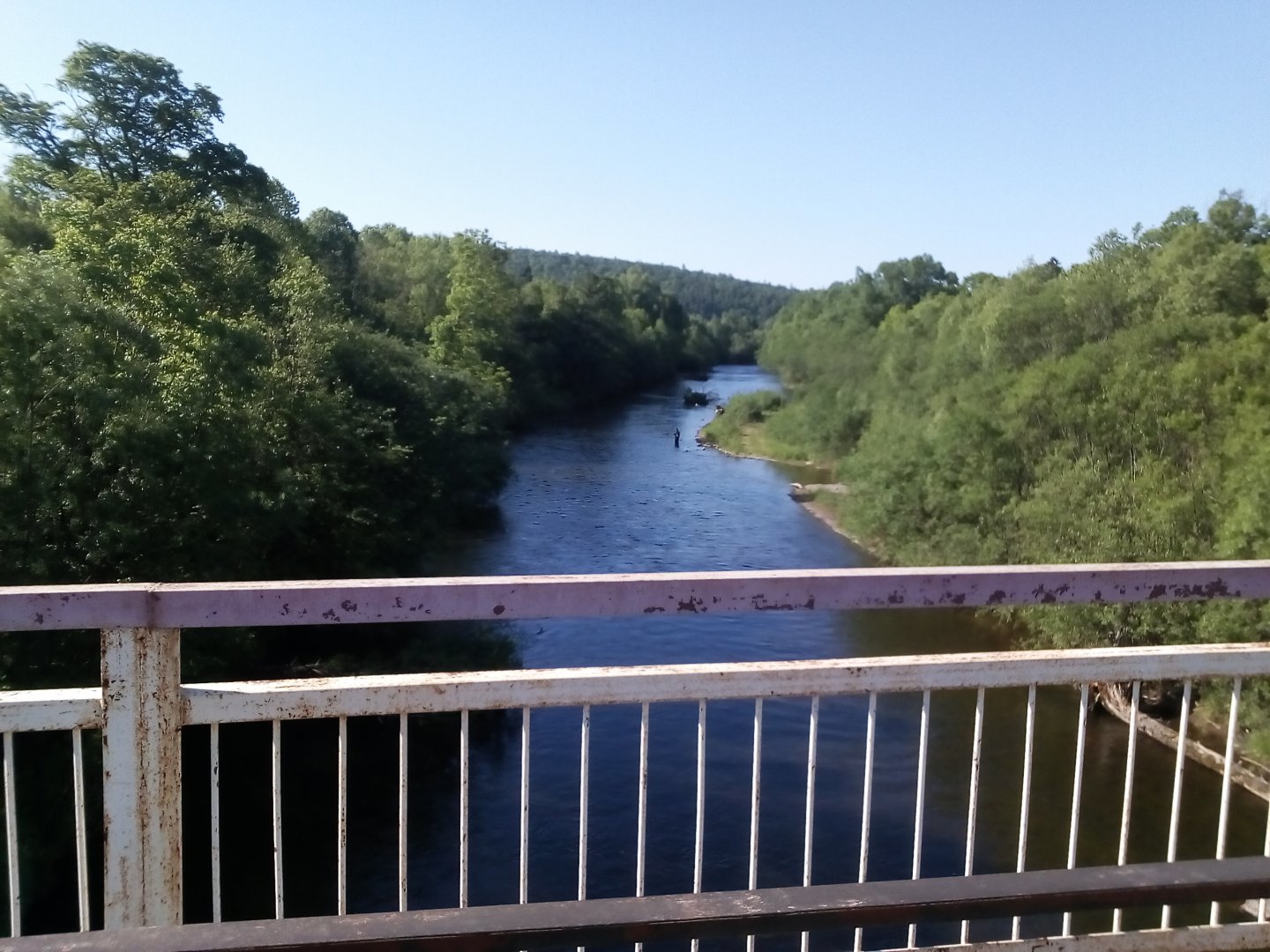 IMG_20180610_083139.jpg