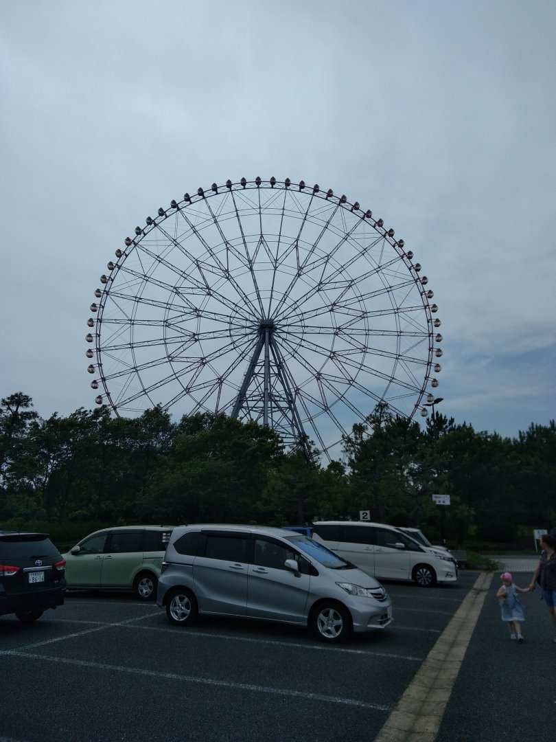 IMG_20180622_143241.jpg