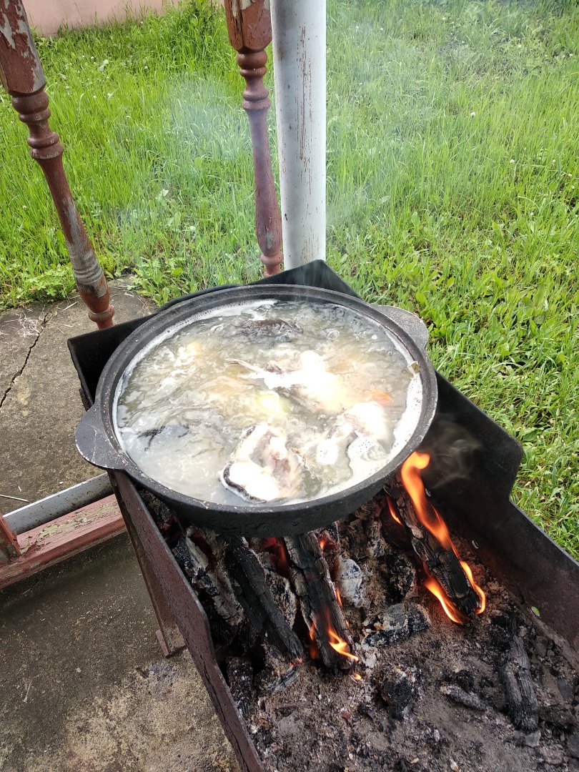IMG_20180630_141037.jpg