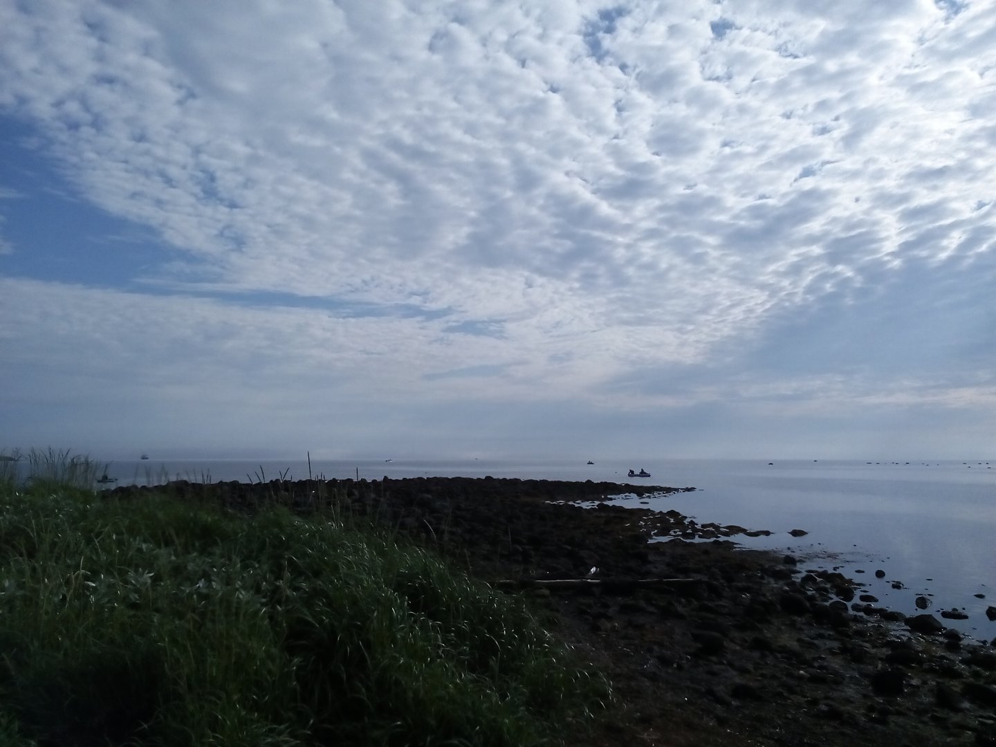 IMG_20180707_075002.jpg