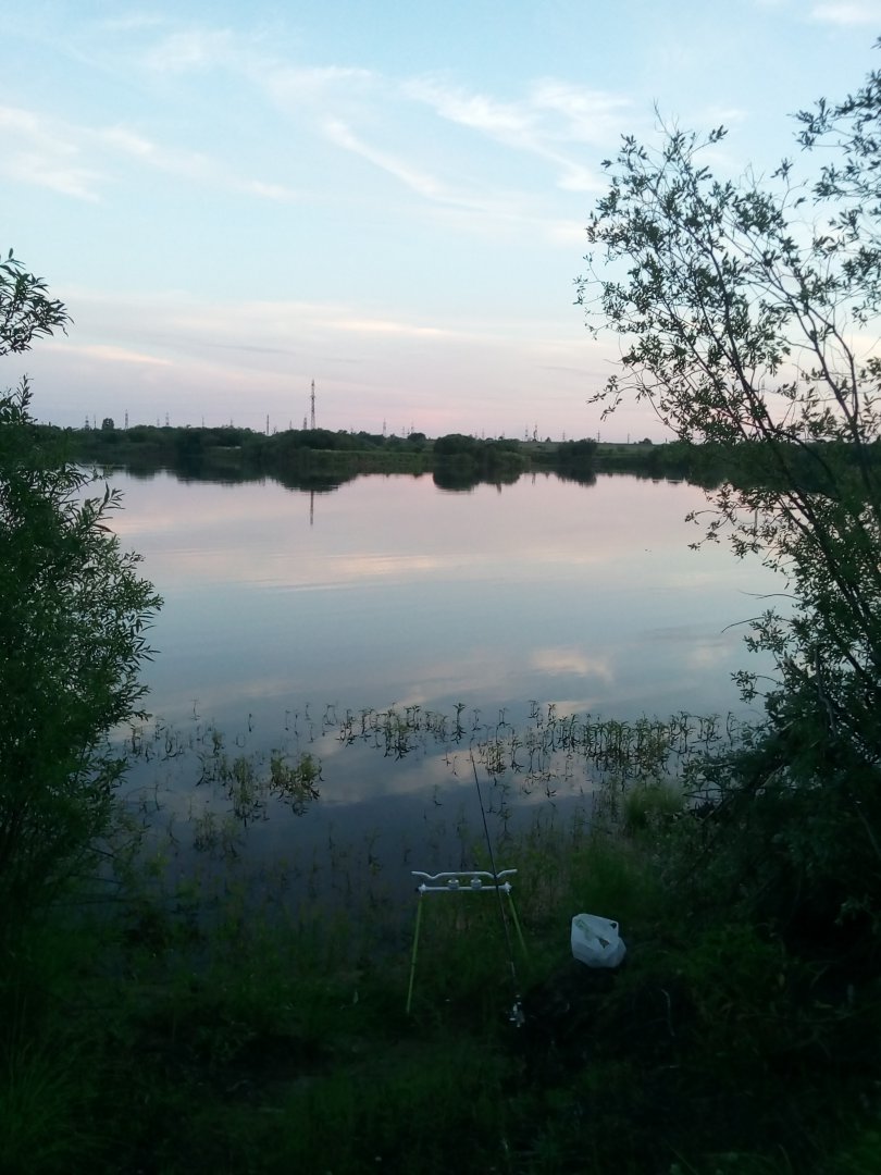 IMG_20180708_205521.jpg