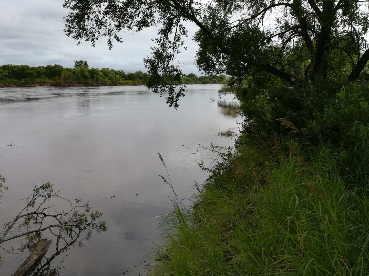 IMG_20180718_102606.jpg