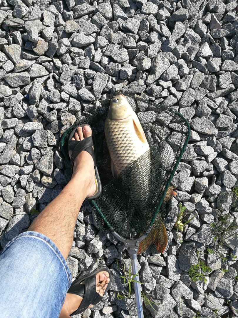 IMG_20180720_092114.jpg