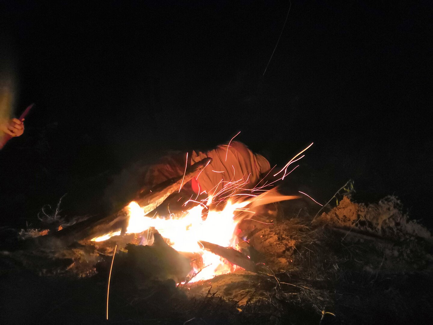 IMG_20180721_223501.jpg