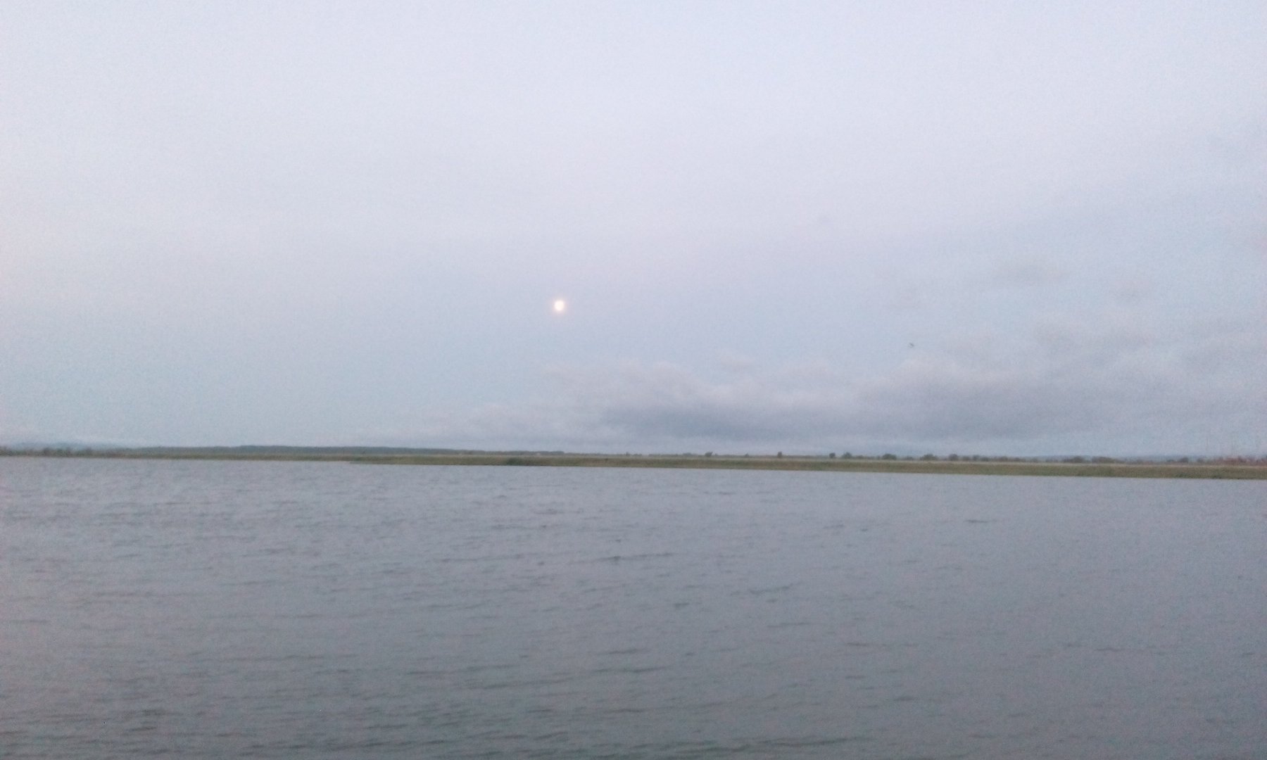 IMG_20180729_051202.jpg