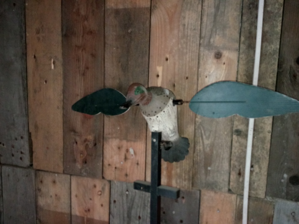 IMG_20180822_123252.jpg
