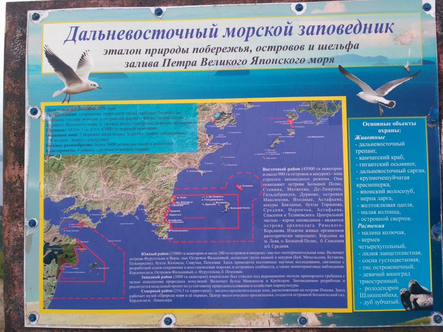 IMG_20180827_182124.jpg