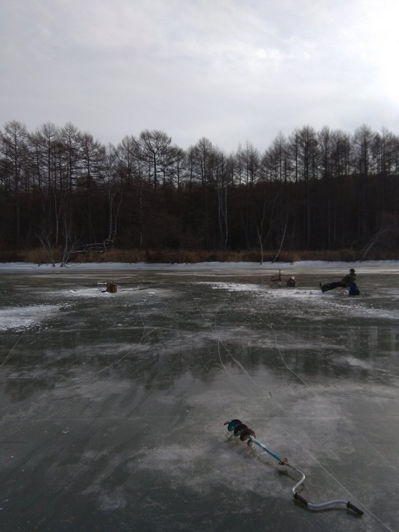 IMG_20181201_122025.jpg