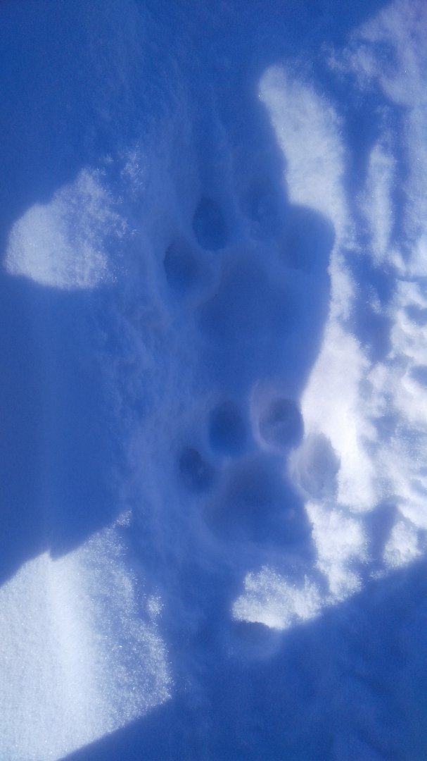IMG_20190103_132019.jpg