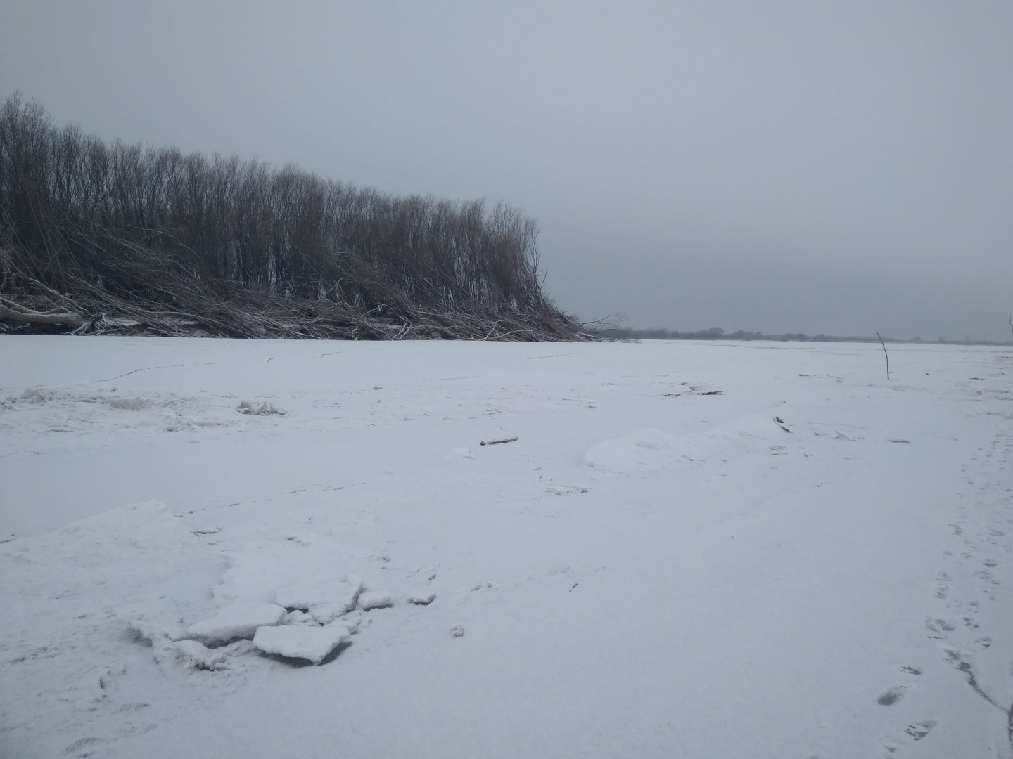 IMG_20190315_091512.jpg