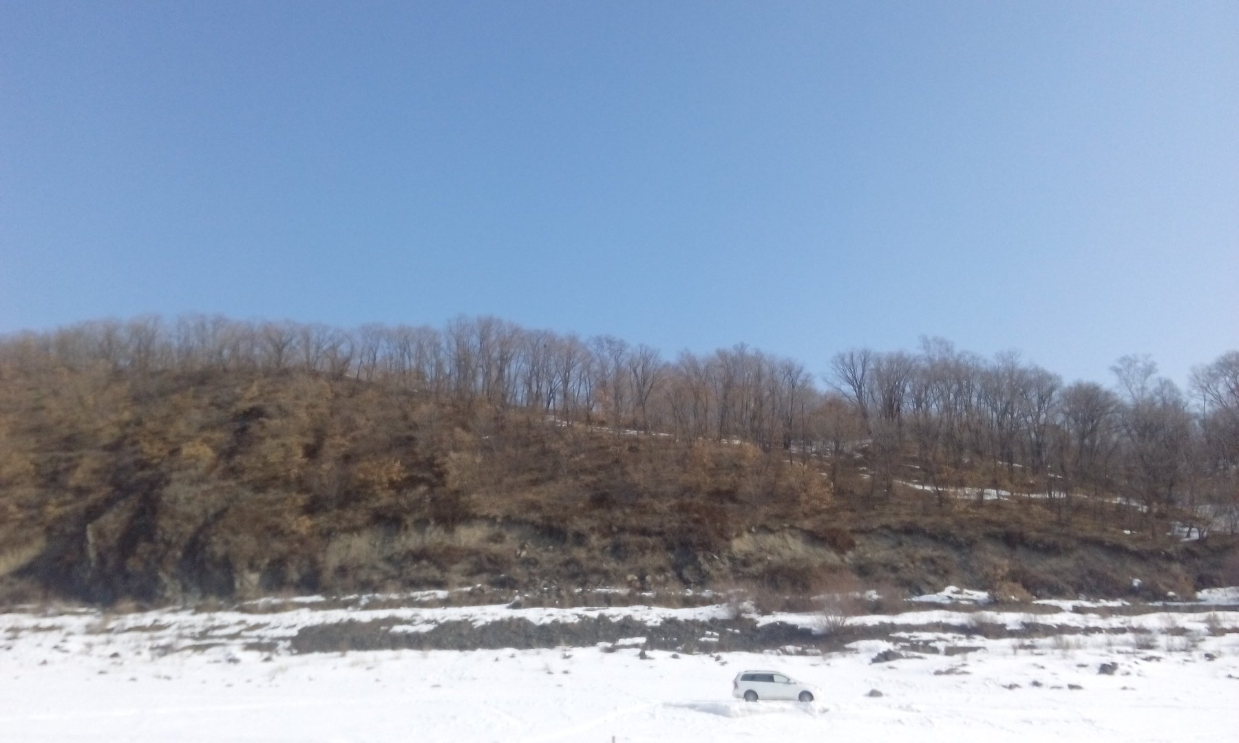 IMG_20190315_105023.jpg