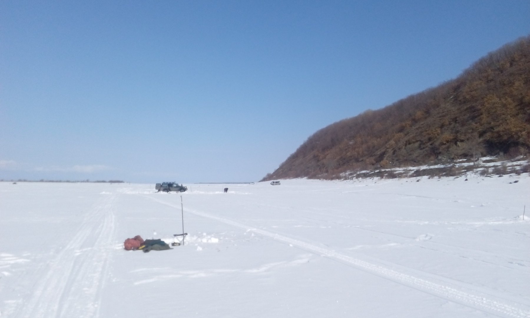 IMG_20190315_105035.jpg