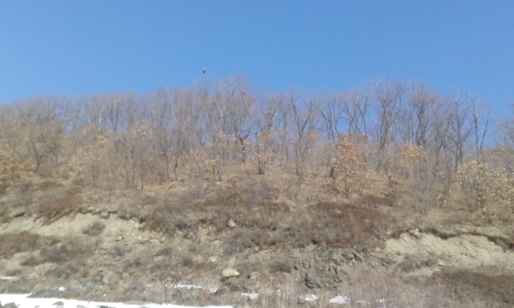 IMG_20190315_140222.jpg