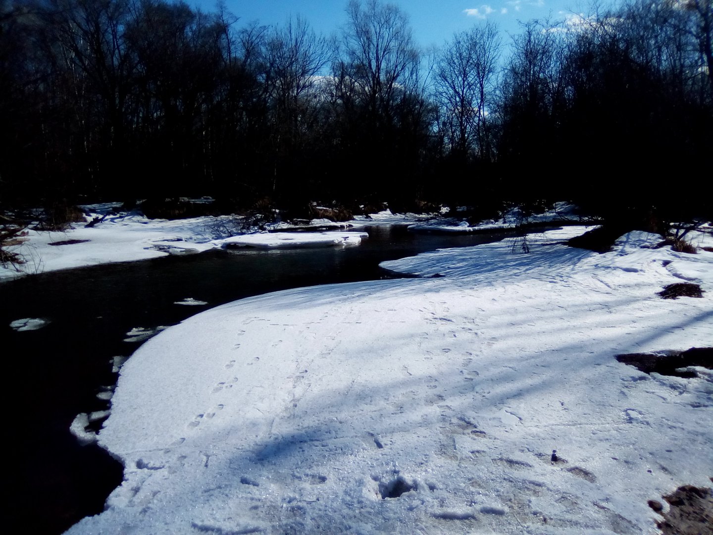 IMG_20190316_152750.jpg