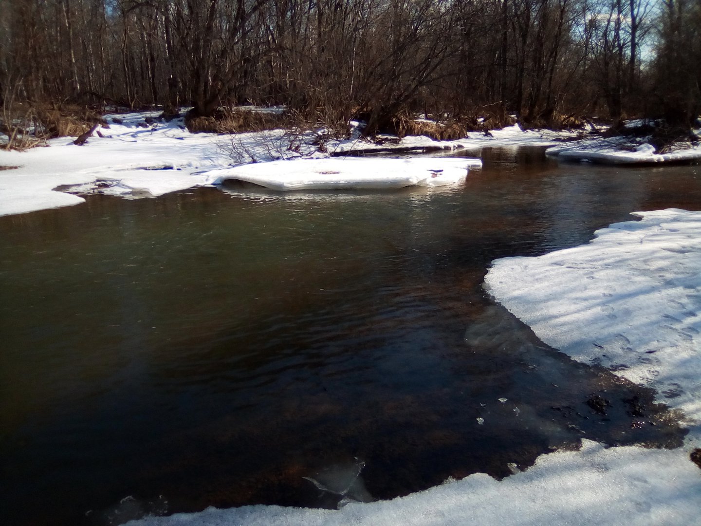 IMG_20190316_152812.jpg