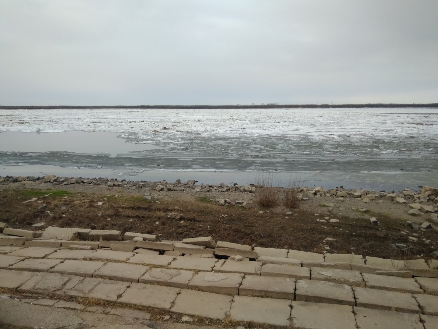 IMG_20190417_073508.jpg