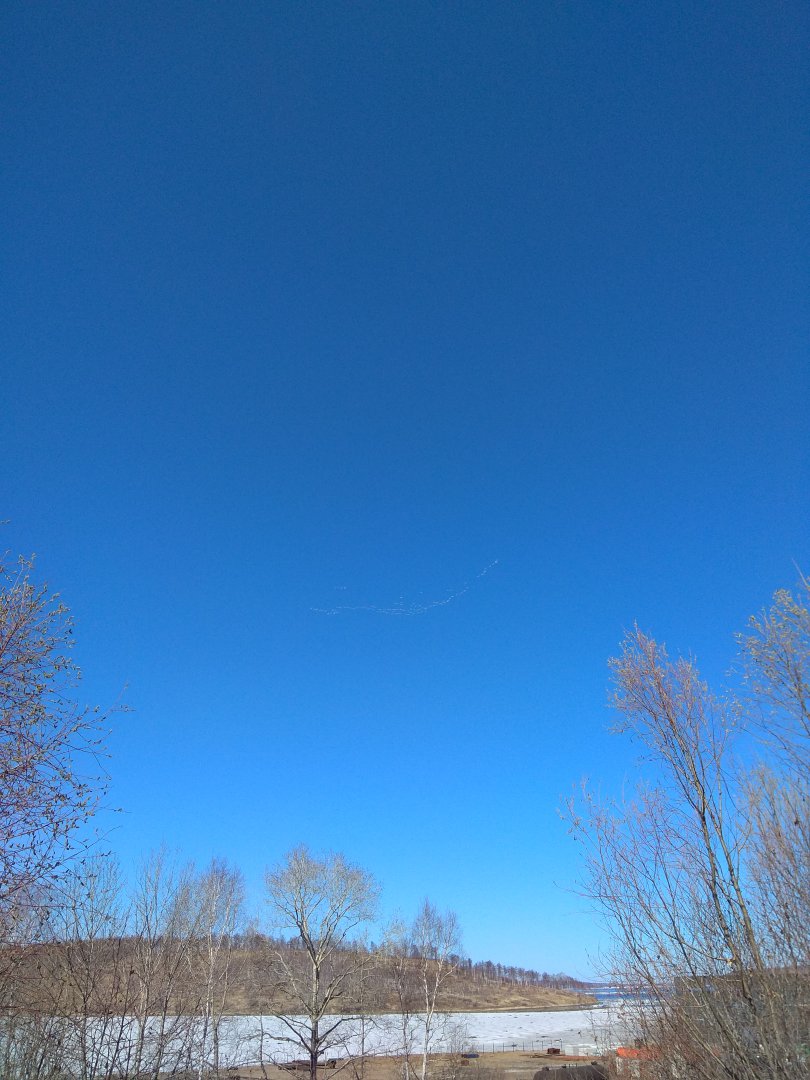 IMG_20190426_135640.jpg