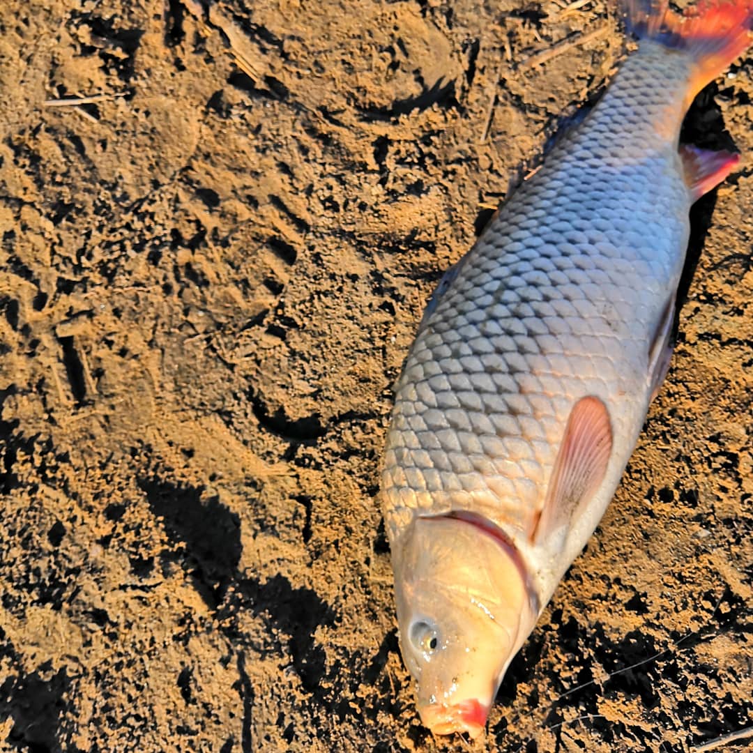 IMG_20190427_100313_798.jpg